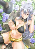 908053-Selvaria_BlesValkyria_Chronicles.jpg